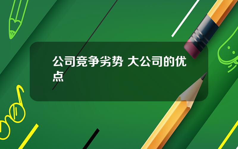 公司竞争劣势 大公司的优点